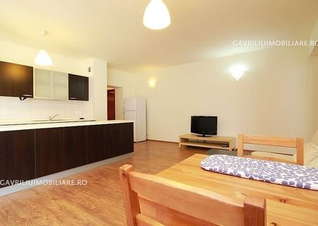 ID 1430 Inchiriere apartament de 2 camere in Central Park ID 1430 Inchiriere apartament de 2 camere in Central Park