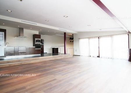 ID 3252 Inchiriere apartament Penthouse 5 camere Herastrau, Nordului