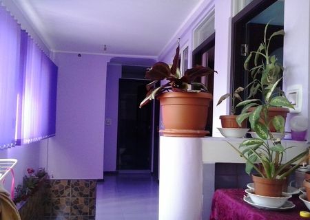 Inchiriez camera