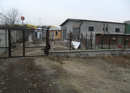 Inchiriez Hala + Teren intravilan, 300 mp, zona Mihai Bravu Inchiriez Hala + Teren intravilan, 300 mp, zona Mihai Bravu