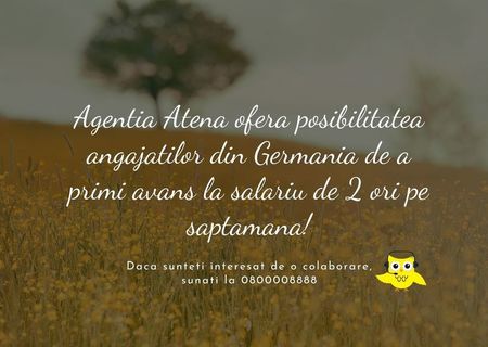 Ingrijiori strainatate