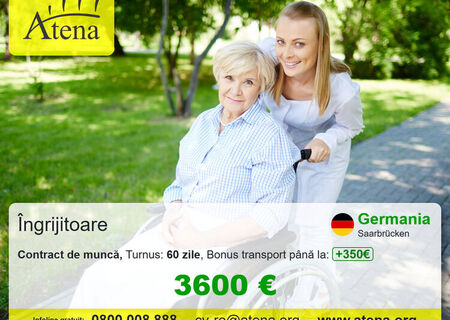 Ingrijire batrani in Germania