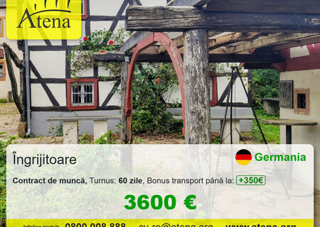 Ingrijire batrani in Germania