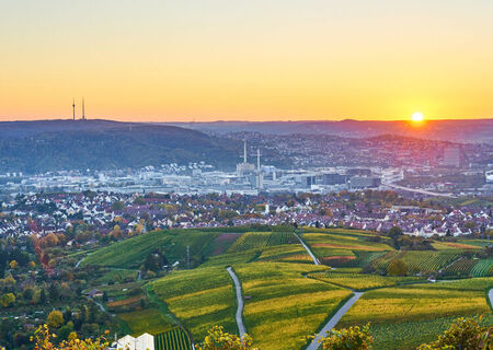 Ingrijire batrani in Germania