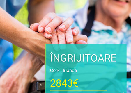 Ingrijitoare in Irlanda