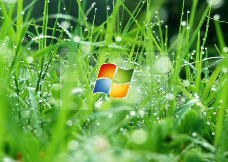 INSTALARE WINDOWS