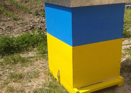 INTREPRINDERE INDIVIDUALA PRODUCE STUPI DE CALITATE INTREPRINDERE INDIVIDUALA PRODUCE STUPI DE CALITATE