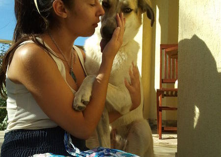 Job part time ca dog walker. Rog seriozitate. Job part time ca dog walker. Rog seriozitate.