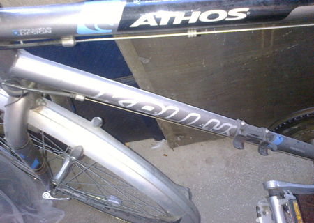 Kelly's Athos