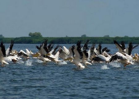 Lac Razim - Delta - Teren zona Turistica (jud. Tulcea)