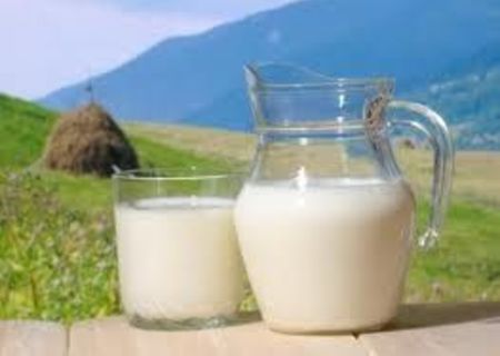 LAPTE DE VACA