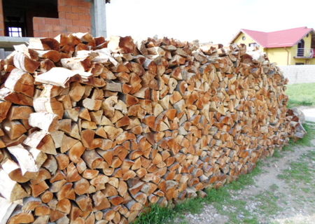 lemne si carbuni