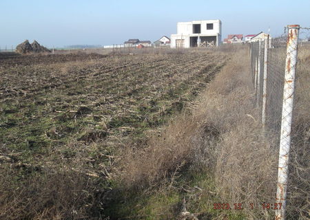 loc casa zona linistita