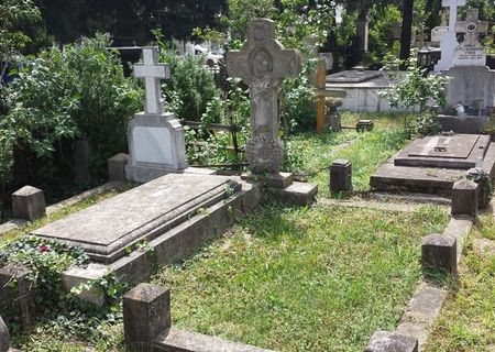Loc de veci Manastirea Cernica. 3 la pret de 2.