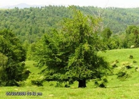 lot 92000 m2 Campulung, PUZ, 2 proiecte lot 92000 m2 Campulung, PUZ, 2 proiecte