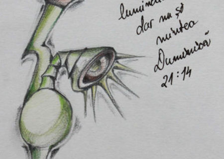 Lucrare seria Idee (2013) Lucrare seria Idee (2013)