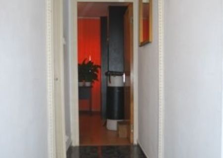 LUJERULUI  VAV  CORA