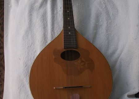 Mandolina instrument cu corzi