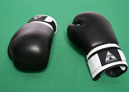 Manusi BOX AnastasiaSport Manusi BOX AnastasiaSport