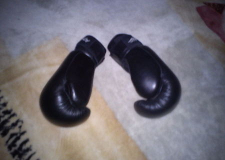 Manusi de box. Manusi de box.
