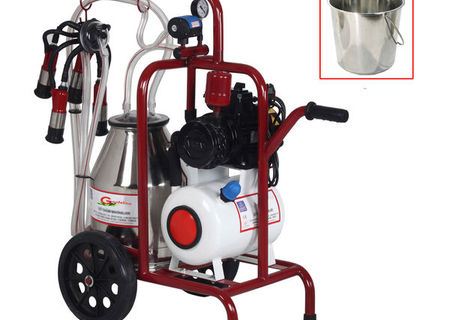 MASINA DE MULS 1P+1*30L INOX + galeata inox MASINA DE MULS 1P+1*30L INOX + galeata inox