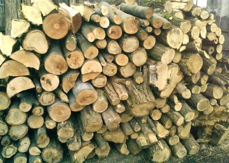 material  de foc forestier