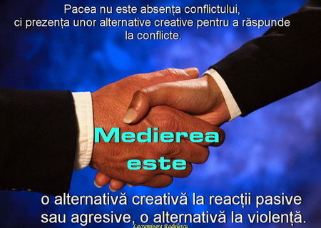 Mediator Profesionist