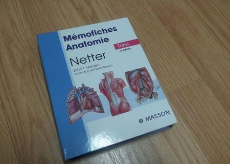 Memofiches Netter Anatomy - NOUA Memofiches Netter Anatomy - NOUA