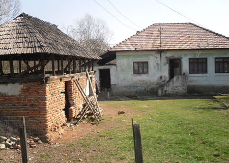 MERITA VAZUT MERITA VAZUT
