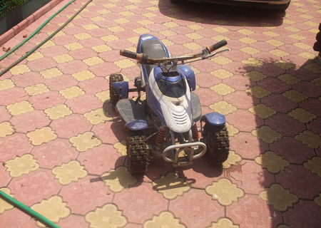 Mini Atv ...