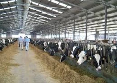 Munca in ferme pentru necalificati. Munca in ferme pentru necalificati.