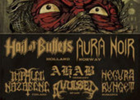 November to Dismember Metalfest 2013 November to Dismember Metalfest 2013