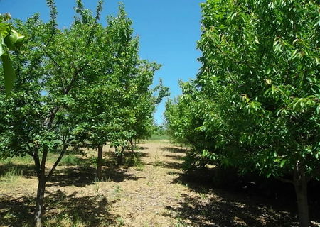 OCAZIE RARA