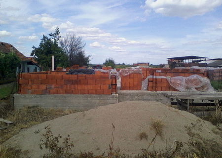 Ocazie.Vand teren pentru casa+ temelie + caramida  ,in Loc Carpinis , jud Timis .
