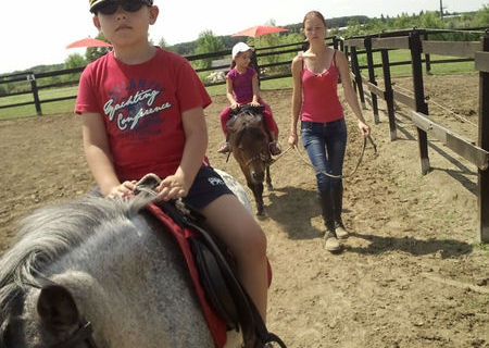 Oferim plimbari cu ponei/cai pentru copii/adulti (echitatie in manej)
