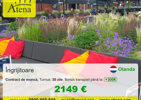Oferta de munca -Ingrijitoare in Olanda