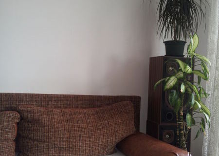 Ofertă închiriere 3 camere, în vilă, Schei
