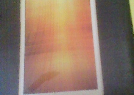 orange reyo orange reyo
