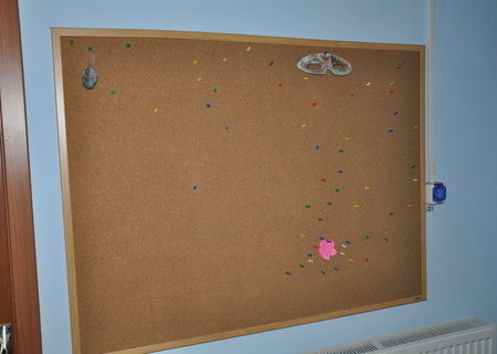 Panou pluta 90 x 120 cm