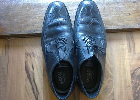 Pantofi barbati piele naturala ECCO Biarritz Pantofi barbati piele naturala ECCO Biarritz