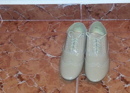 Pantofi Dama