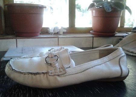pantofi dama