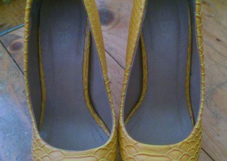 Pantofi extravaganti