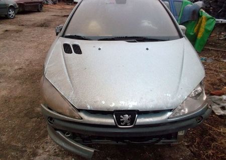 Parc auto Racasdia dezmembreaza Peugeot 206