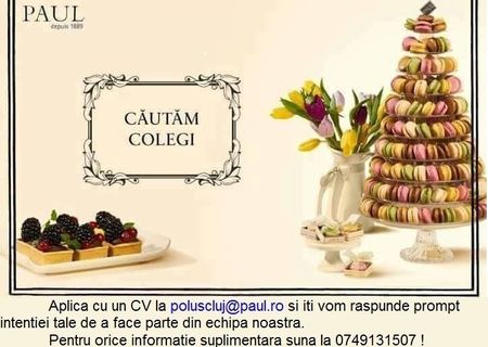 Patiseria Paul Cluj angajeaza Casieri si Lucratori in bucatarie! Patiseria Paul Cluj angajeaza Casieri si Lucratori in bucatarie!