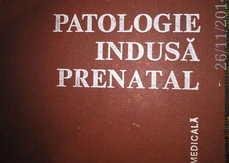 PATOLOGIE INDUSA PRENATAL , M. GEORMANEANU, EDITURA MEDICALA, BUCURESTI, 1978