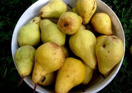 Pere naturale nestropite
