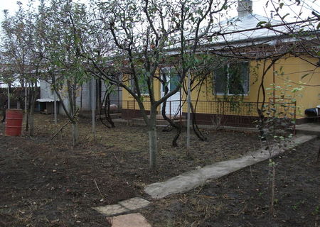persoana fizica