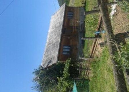 pf vand casa la gilau
