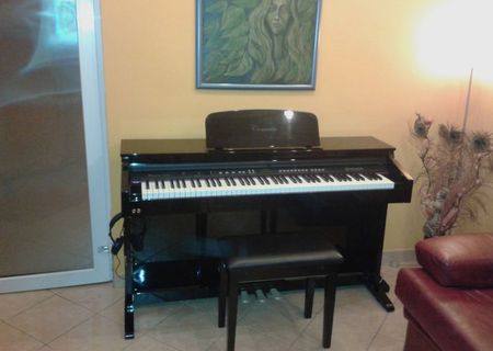 Pian digital Delson CONCERTO 8877